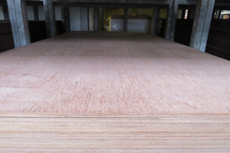 Meranti platen WBP